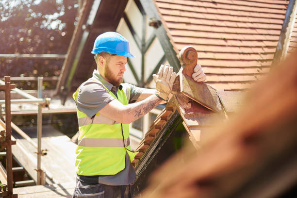 Best Roof Gutter Cleaning  in Neuse Forest, NC